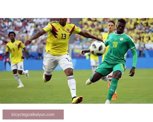 哥伦比亚队世界杯前景分析：状态稳健，备受关注的竞争力增强